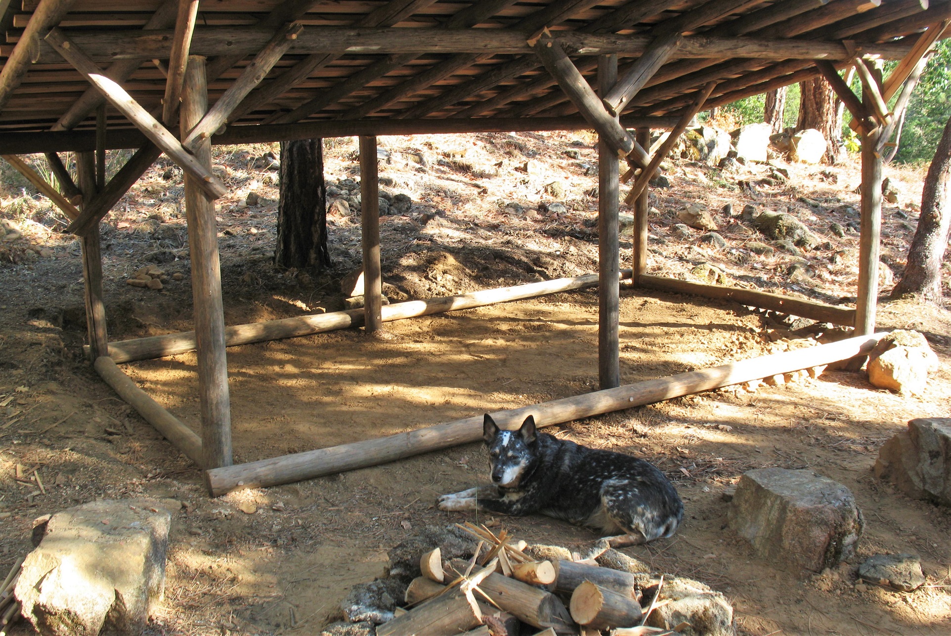 Bush Craft Shelter