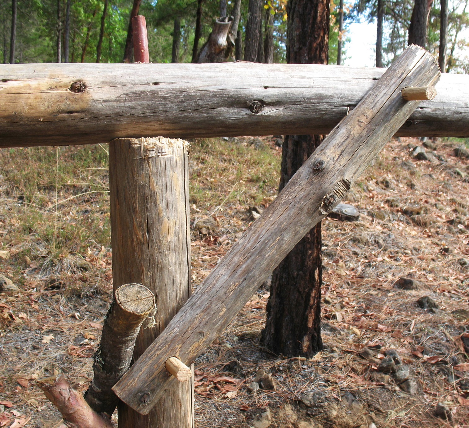 Bush Craft Shelter