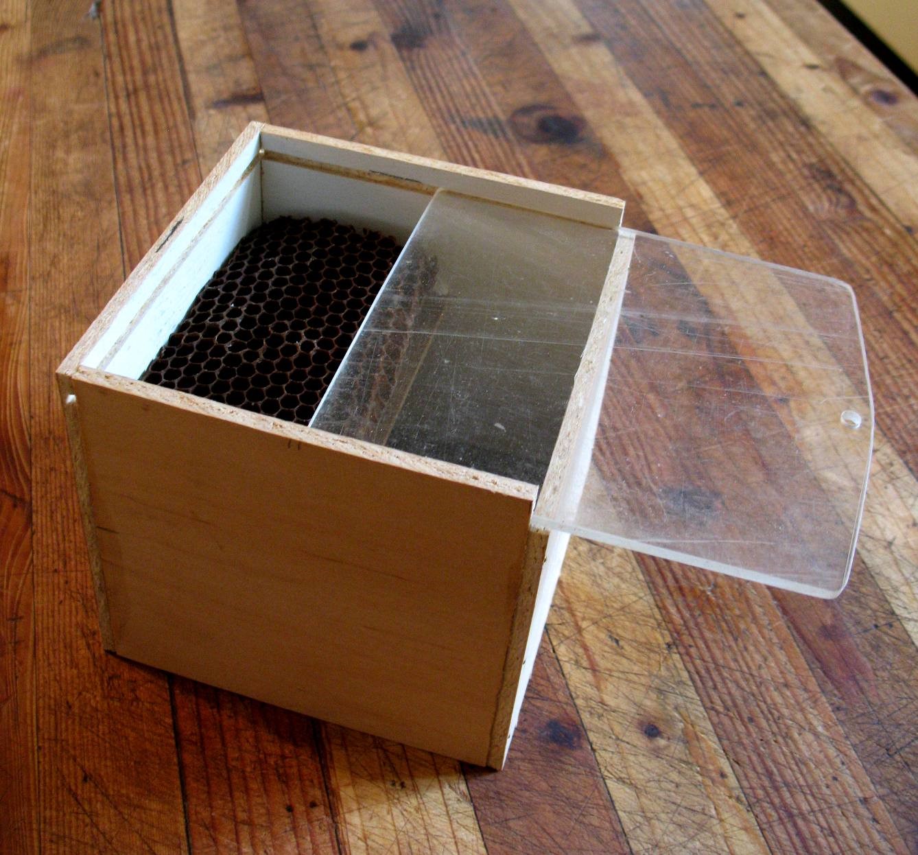 Bee Tracking Box