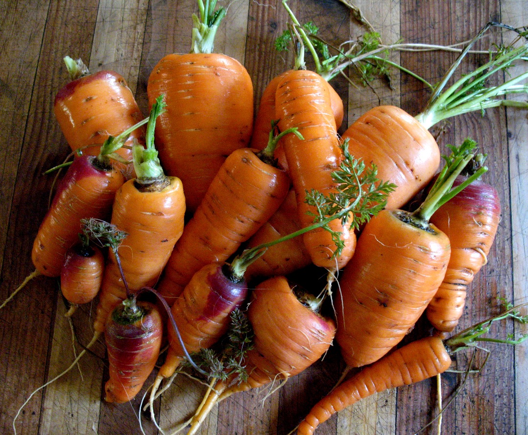 Carrots