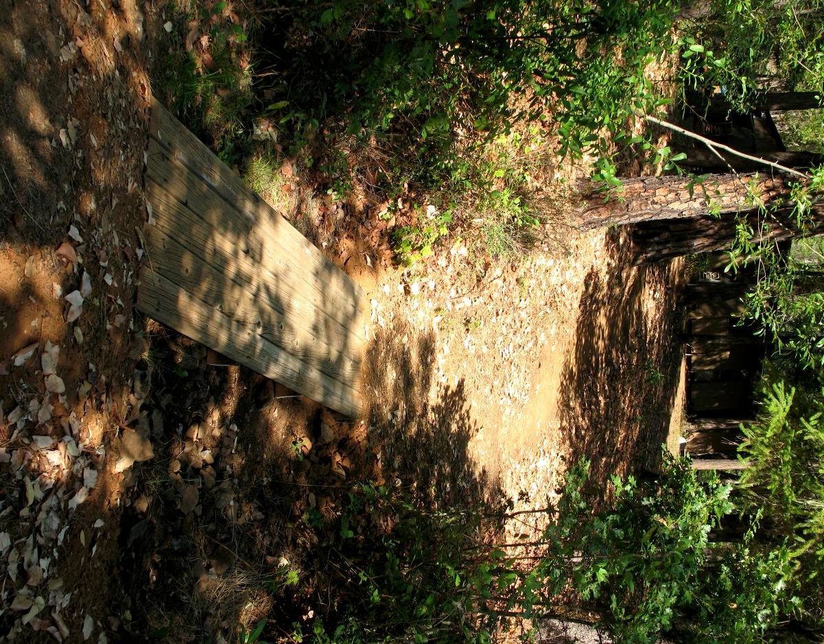 bridge