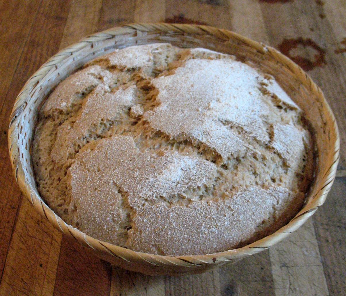 whole wheat bread