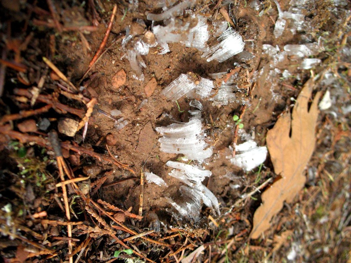Ice