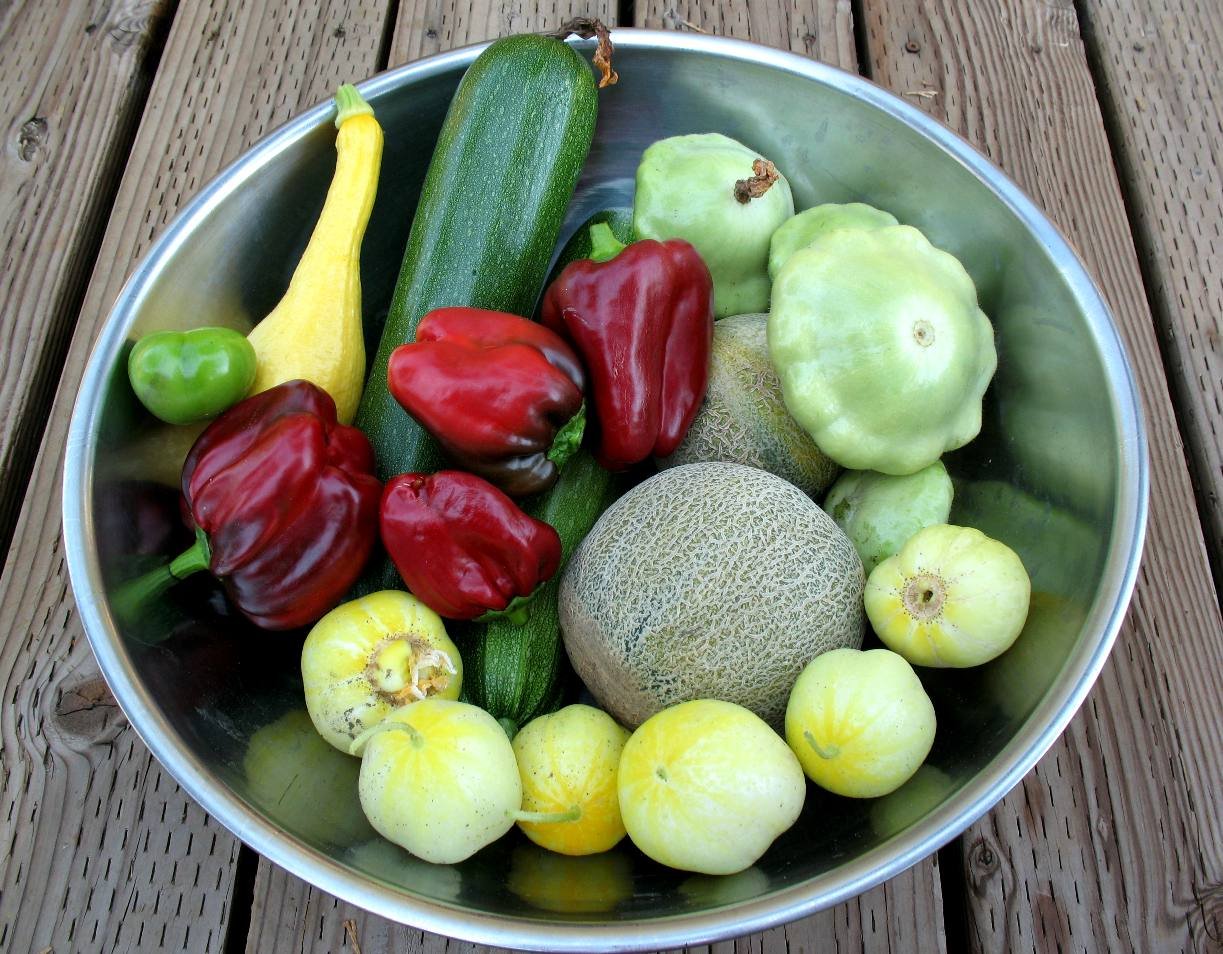 Vegies