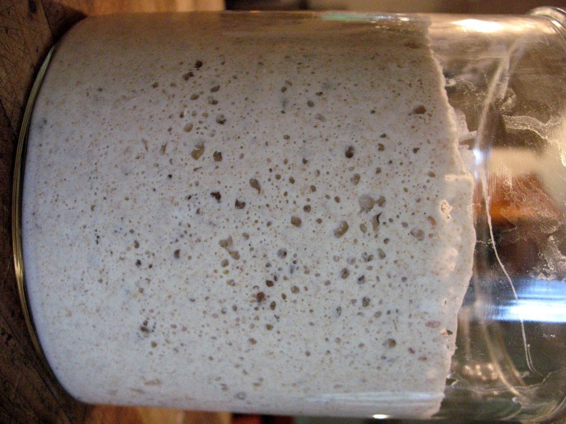 sponge
