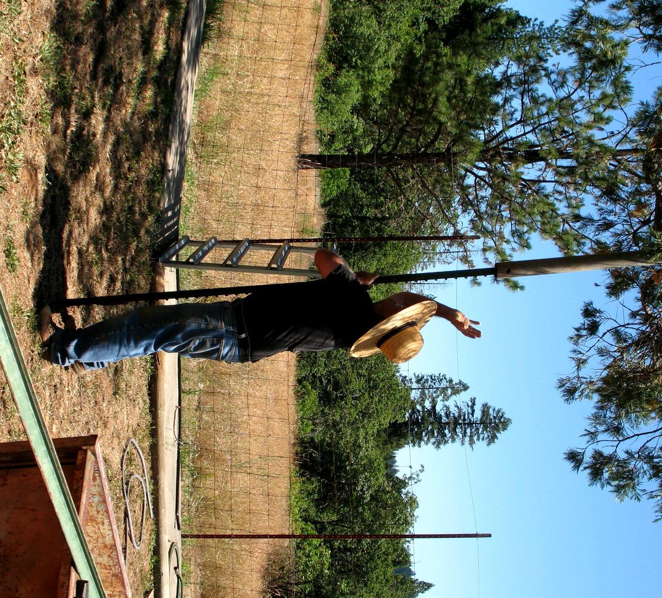 apiary