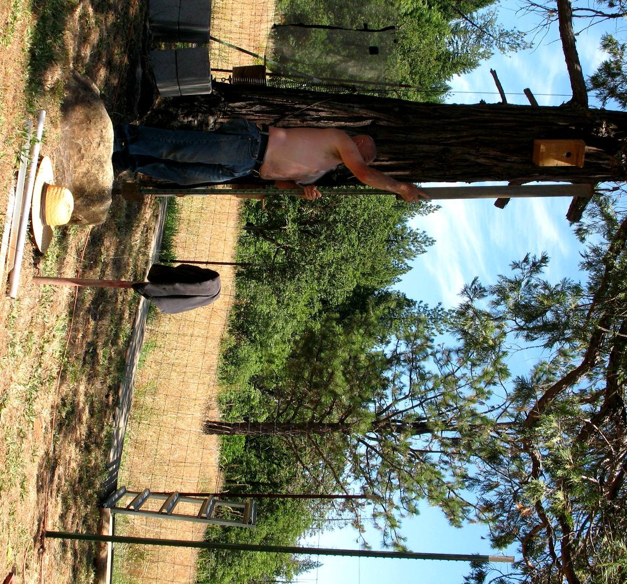 apiary
