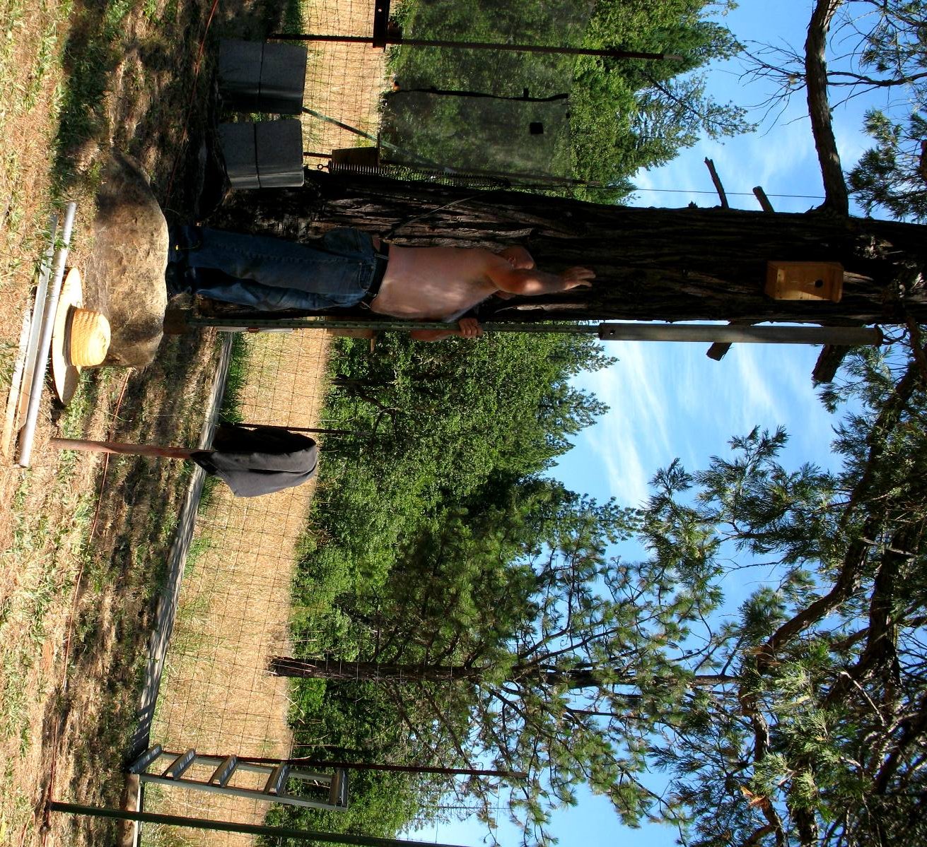 apiary
