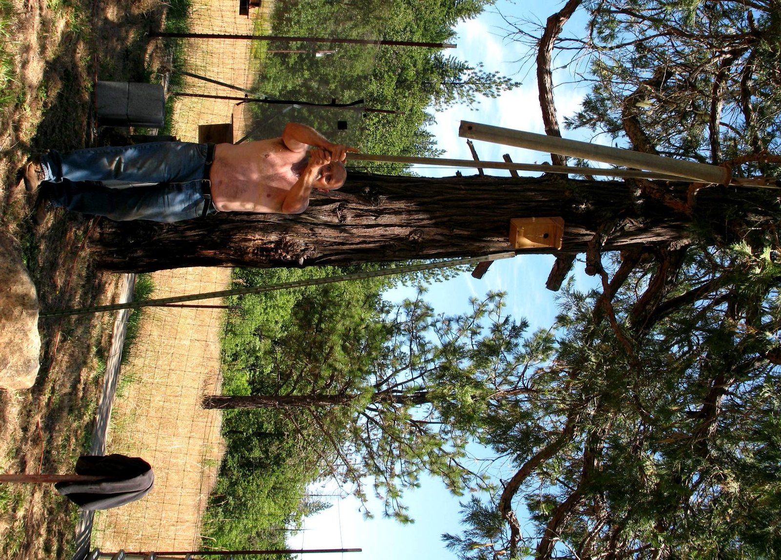 apiary