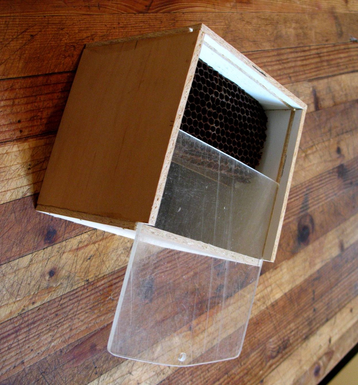 Bee Tracking Box