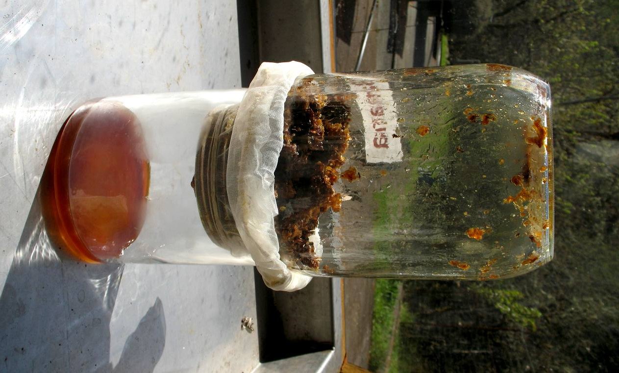 Honey Extractor