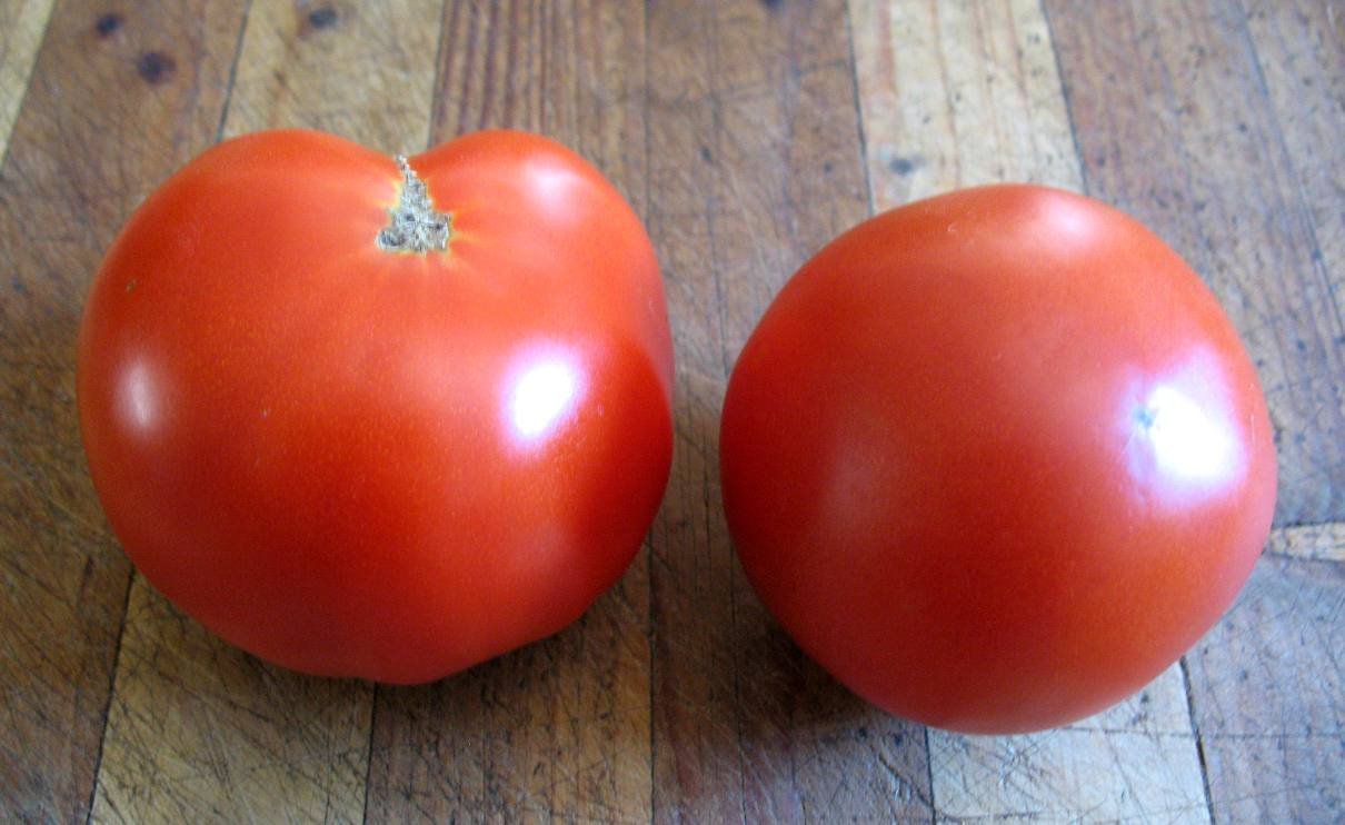 tomato