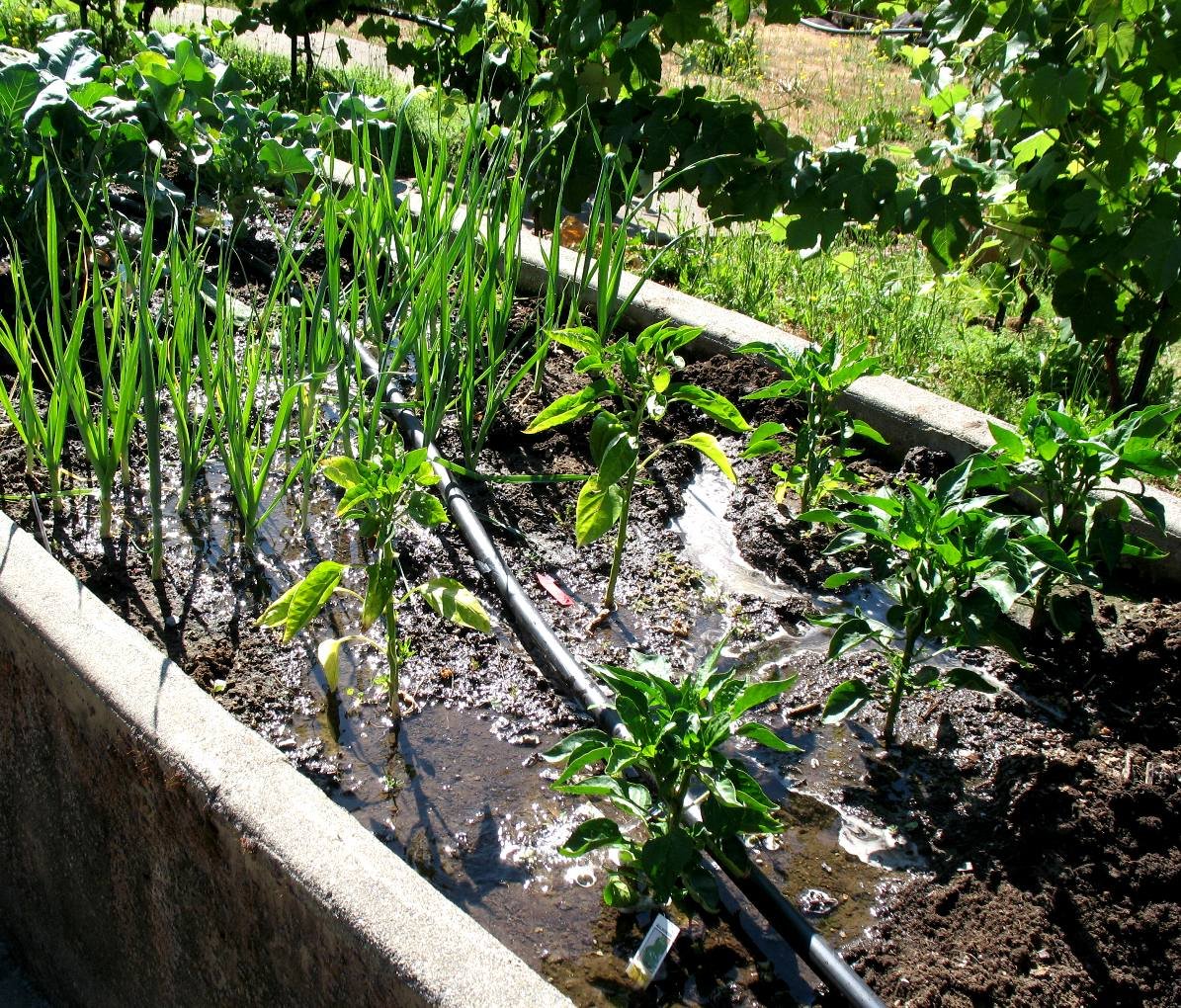 water